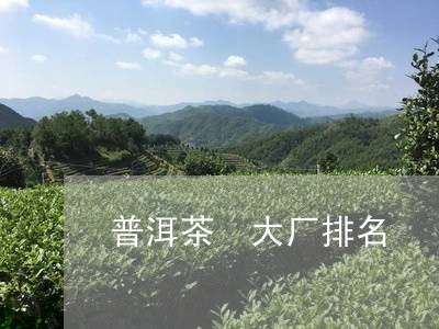 普洱茶 大厂排名/2023041046471